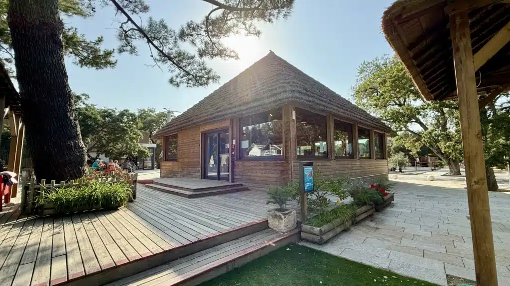 Charpente et couverture en roseau de l’accueil du camping Conceptetion de la charpente, de la couverture en roseau de Camargue et de l'ossture en bois de l'accueil du camping Corse San Damiano