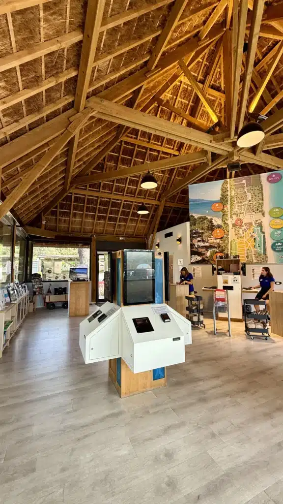 Charpente traditionnelle de l'accueil Fabrication d'une charpente en bois avec roseau apparent à l'intérieur de l'accueil du camping San Damiano