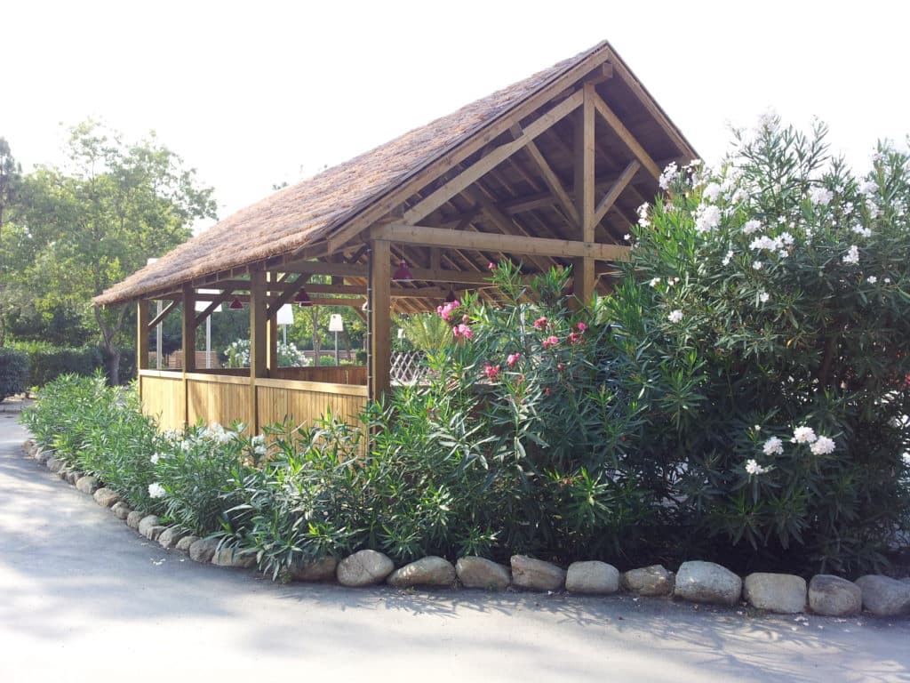 Paillote Ekolinea vue sur une charpente en bois avec couverture en roseaux derrière un massif de fleur. Ekolinea est spécialiste des Parasols exotiques et paillotes