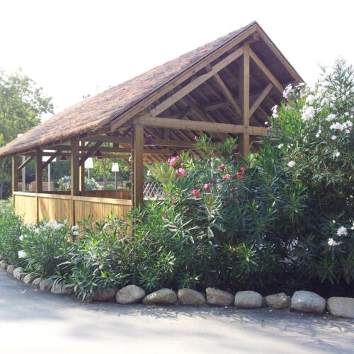 vue sur une charpente en bois avec couverture en roseaux derrière un massif de fleur. Ekolinea est spécialiste des Parasols exotiques et paillotes