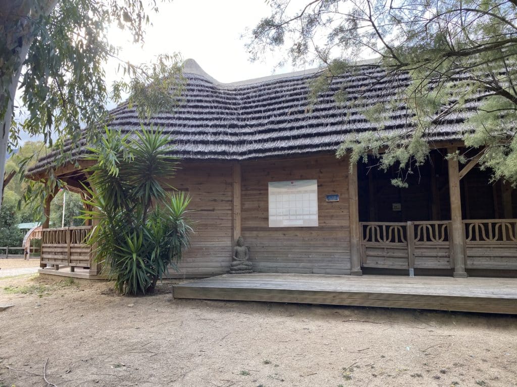 Ekolinea paillote toit vue sur une paillote Ekolinea avec un toit traditionnel en roseaux de camargue. Ekolinea est spécialiste des Parasols exotiques et paillotes