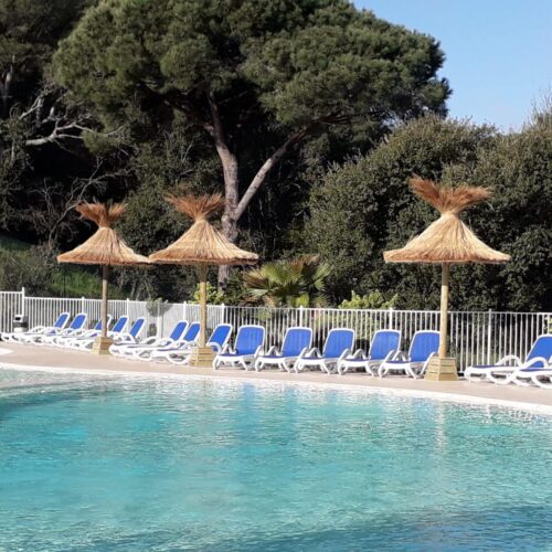 Vue sur 3 parasols exotiques avec un couverture en roseaux et entourant une piscine bleue