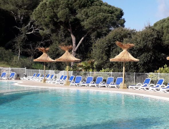 Vue sur 3 parasols exotiques avec un couverture en roseaux et entourant une piscine bleue