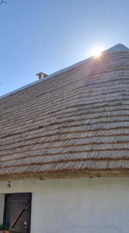 Toiture traditionnelle en roseau en camargue