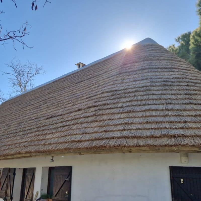 Toiture traditionnelle en roseau en camargue
