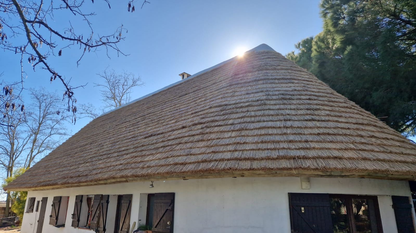 Toiture traditionnelle en roseau en camargue
