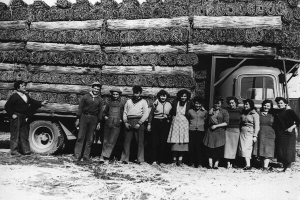 Vieux camion rempli de sagne et les travailleurs - 150 ans Ekolinea