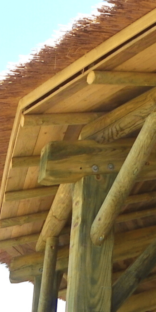 Zoom sur une ossature et charpente de bois avec une couverture de toit en roseau pour l'aménagement extérieur durable