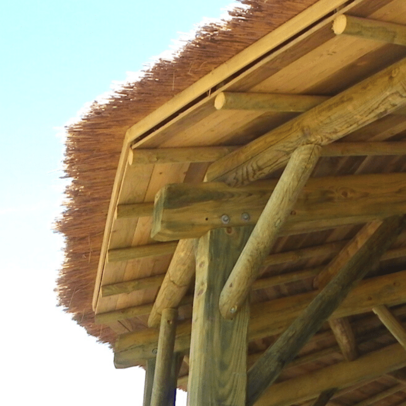 Zoom sur une ossature et charpente de bois avec une couverture de toit en roseau pour l'aménagement extérieur durable