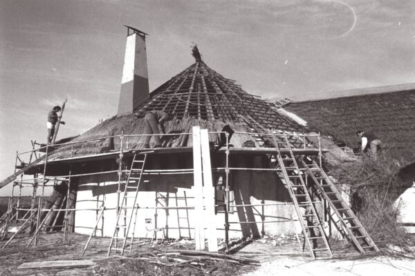 maison toit dit en chaume - 150 ans Ekolinea