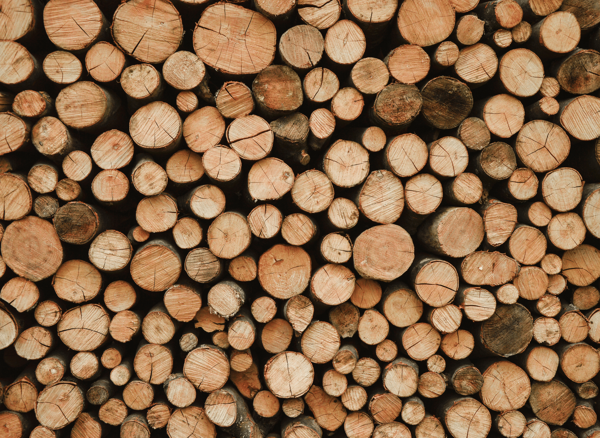 vue sur des rondins de bois entassés les uns sur les autres