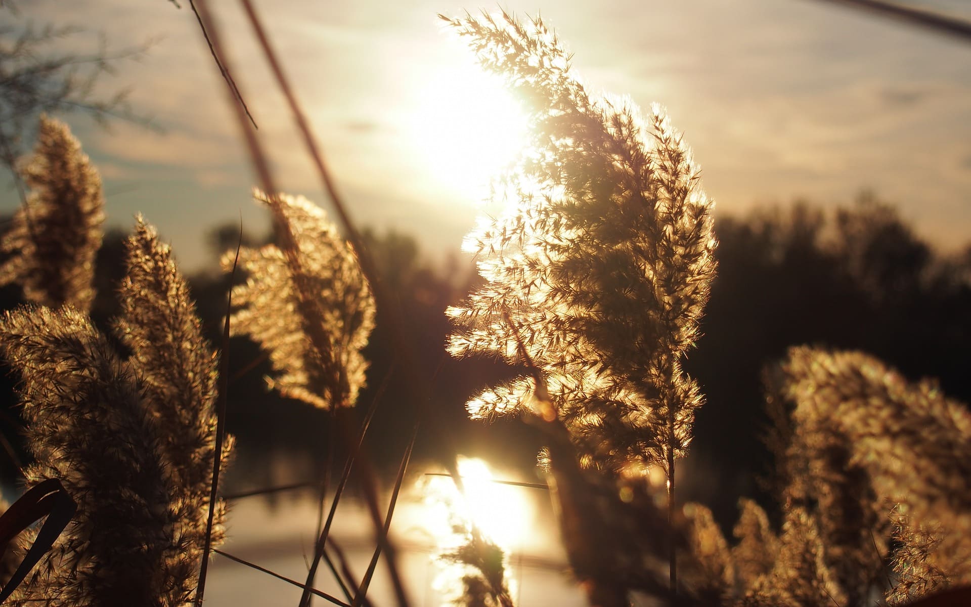 Un printemps au rythme de l’artisanat