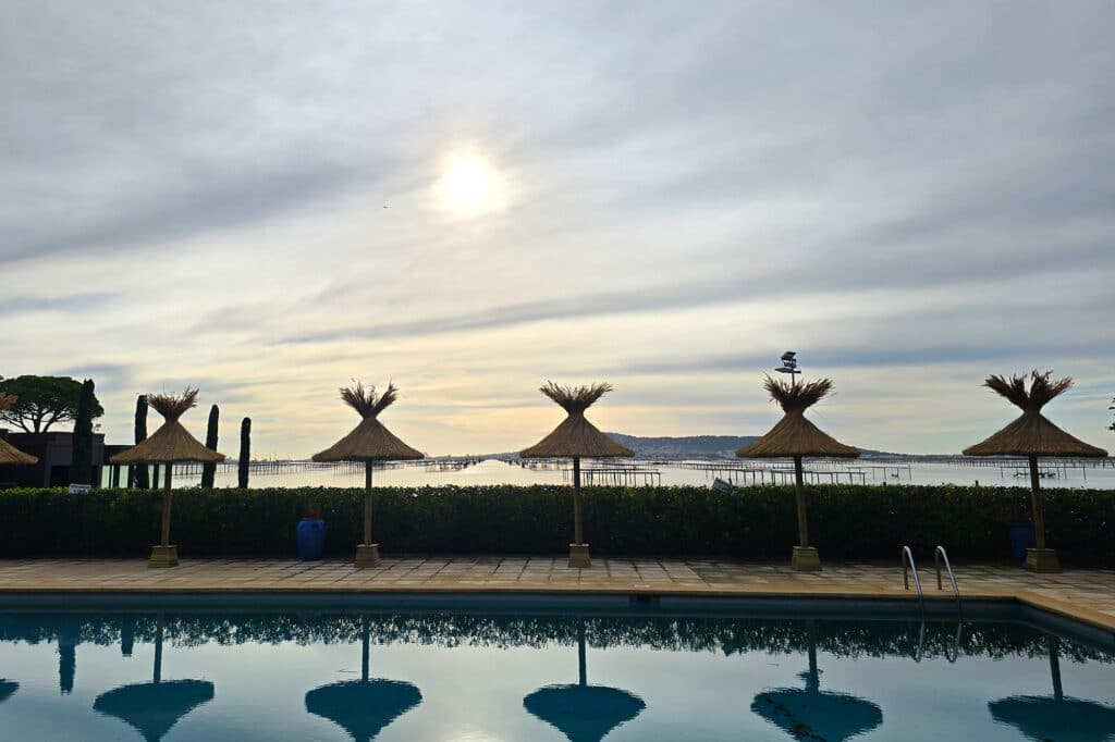 ekolinea-parasol-roseau-camargue-bouzigue-amenagement-exterieur Installation parasols en roseaux de Camargue à Bouzigue