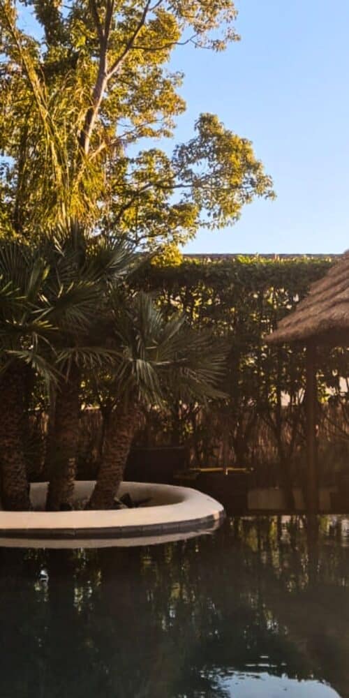 Installation d'aménagements extérieurs en bois et roseau de Camargue près d'une piscine