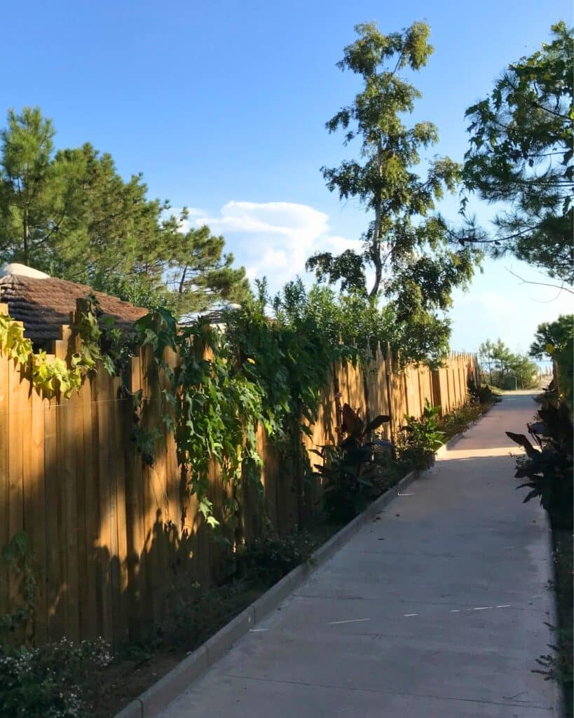 Allée et brise-vue dans un camping Corse Allée d'un camping en Corse avec un brise-vue en bois fabriqué par Ekolinea