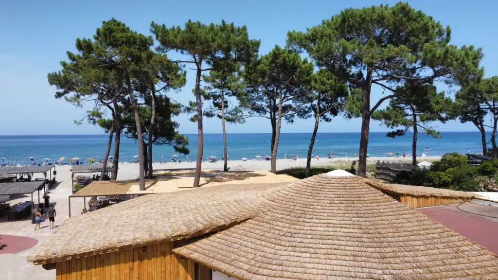 Charpentes et couverture roseau Fabrication et installation d'une charpente en bois avec une couverture en roseau de Camargue