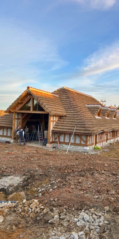 Ekolinea a posé près de 3 0000m² de roseau sur les toitures du nouvel espace du zoo de Beauval