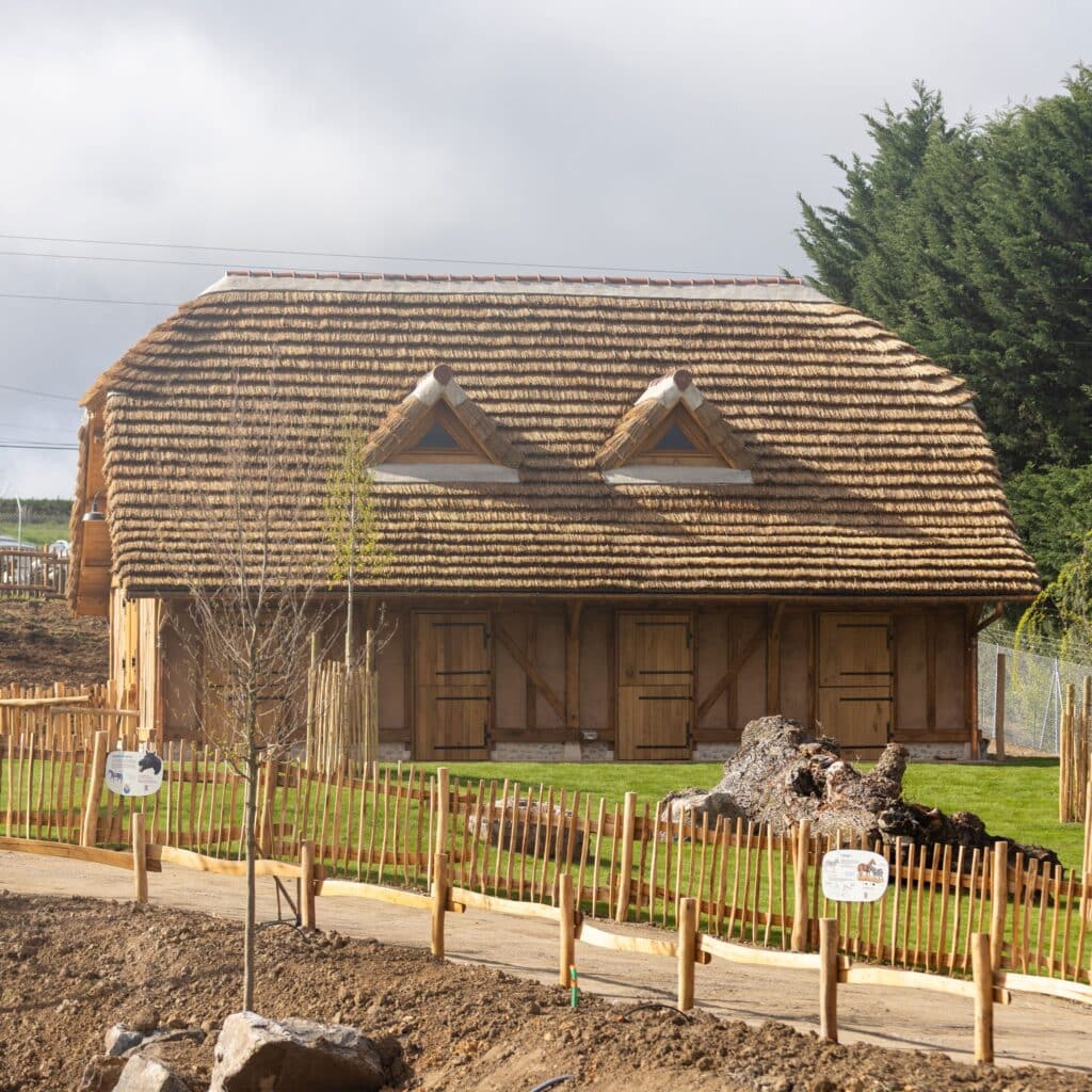Fermes avec couverture en roseau de Camargue L'une des fermes couvertes avec du roseau de Camargue au ZooParc de Beauval