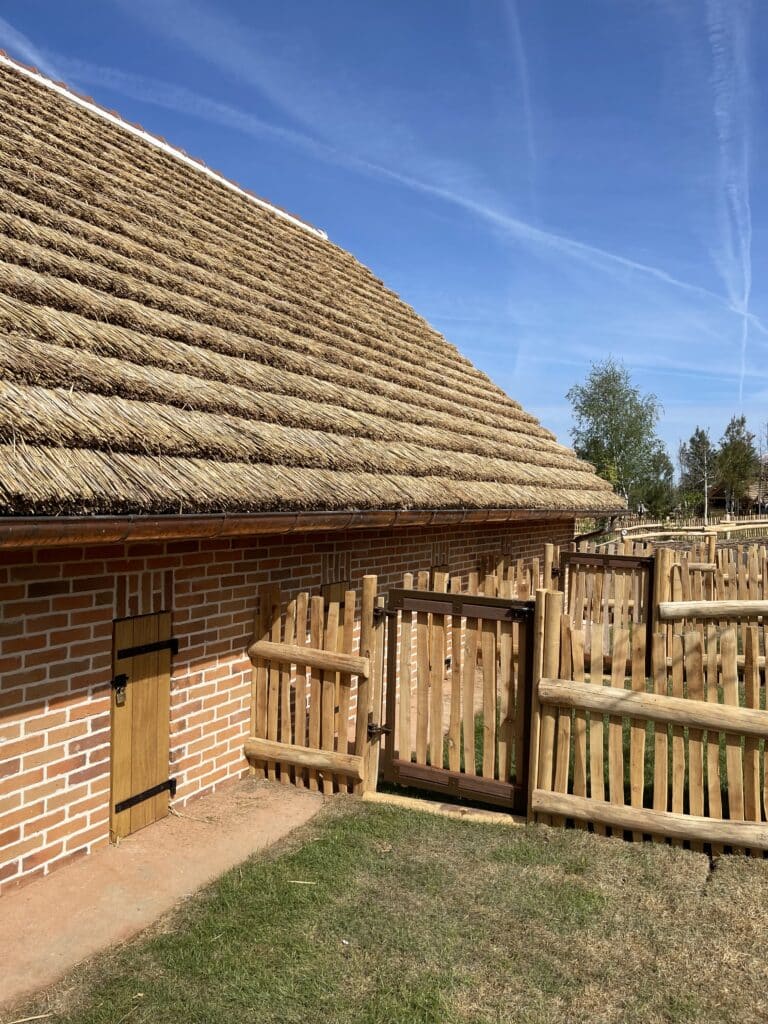 ekolinea-amenagement-exterieur-zoo-beauval-couverture-roseau-ferme