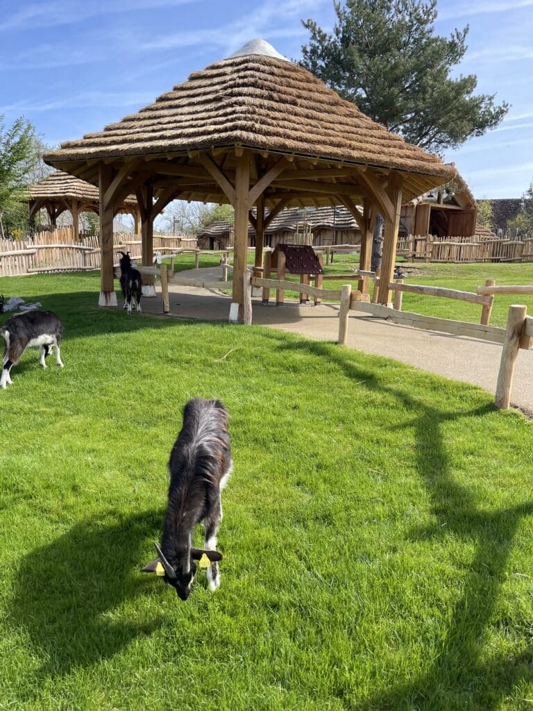 Paillote Paillote en roseau et bois dans l'espace Bucolia du ZooParc de Beauval