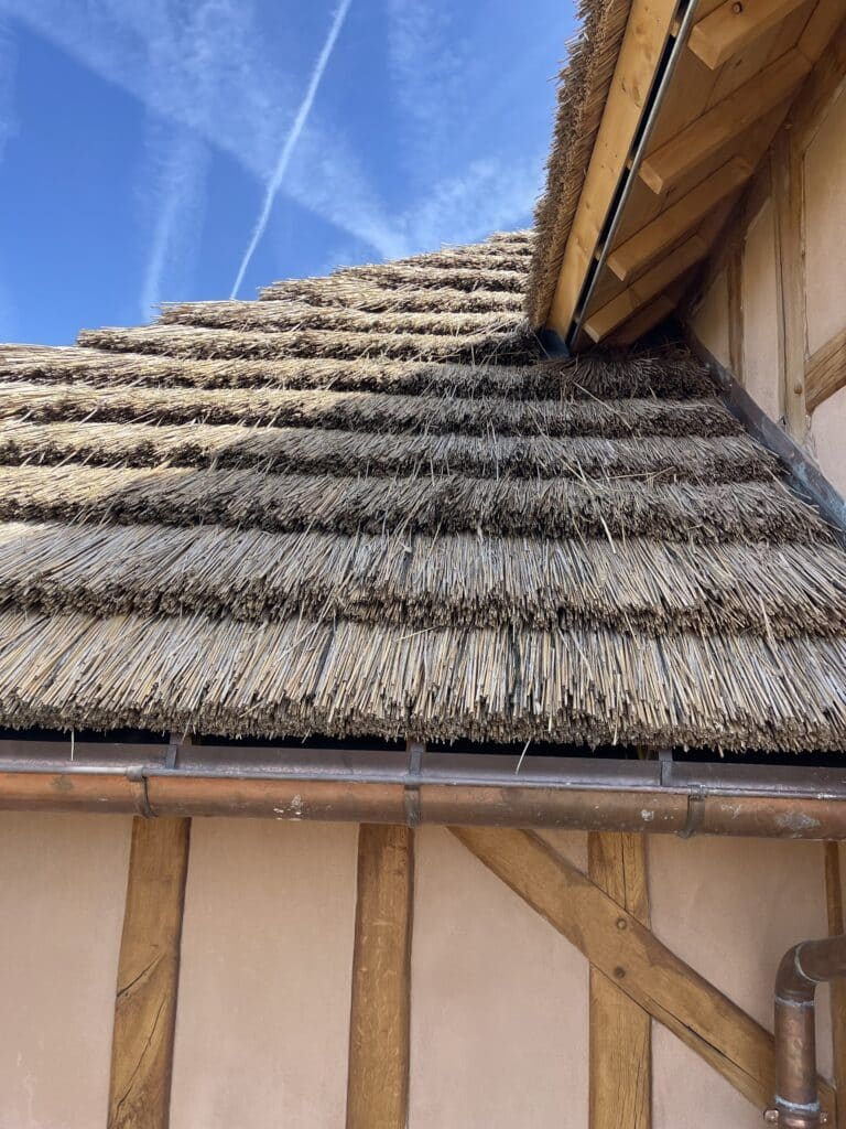 Couverture roseau Beauval Pose de roseau sur les toits de l'espace Bucolia au ZooParc de Beauval