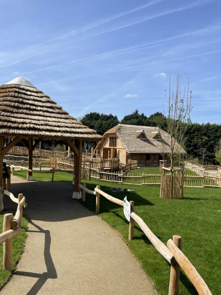 ekolinea-zoo-parc-beauval-paillote-couverture-roseau-artisanat