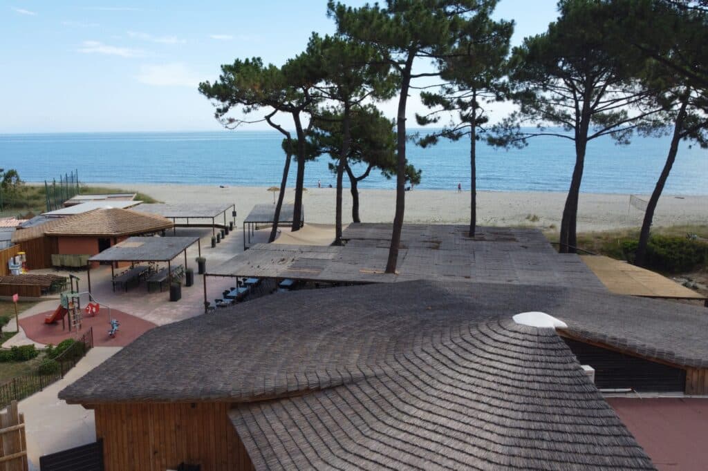 ekolinea-restaurant-la-pagode-charpente-bois-couverture-roseau
