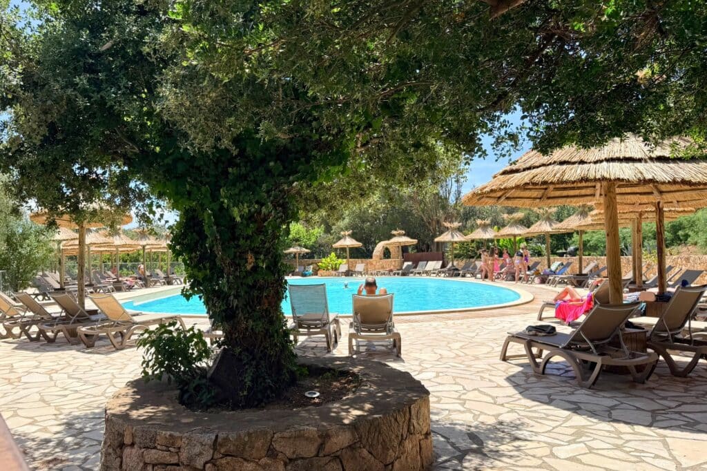 ekolinea-vigna-maggiore-corse-sud-piscine-parasol
