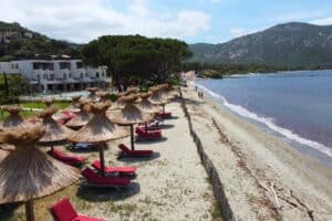 Renouvellement du roseau des parasols en roseau à l'hôtel La Roya à Saint-Florent