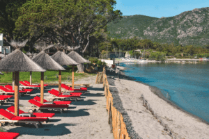 Installation et repaillage de parasols tropicaux dans l'hôtel de luxe La Roya