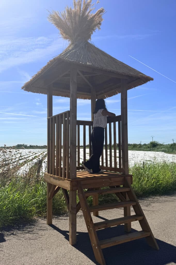 Point de vue en bois Une réalisation surélevée pour admirer à 360°
