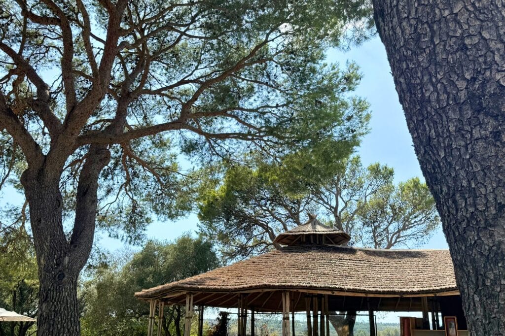 ekolinea-parc-animalier-la-barben-zoo-12